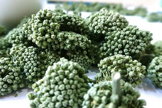 唯美句子（唯美句子摘抄）