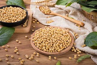 外婆家的菜园作文（外婆家的菜园作文250字左右）