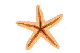 迎接12月的全新精彩说说_迎接十二月份的说说