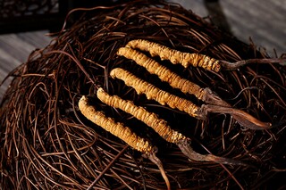 小学学作文900字_小学作文90字 5篇