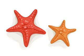 毕业留言_毕业留言50～100字