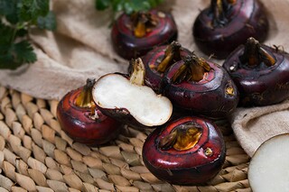 爷爷我想对你说作文_爷爷我想对你说作文500字五年级