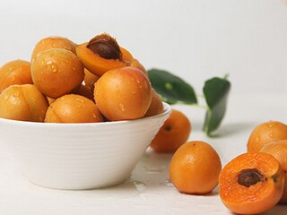 最新物业管理委托合同