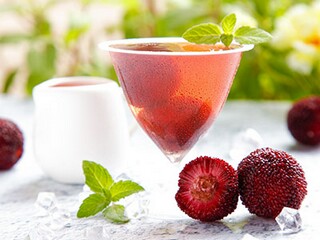 写壮志的诗句（体现壮志的诗词）