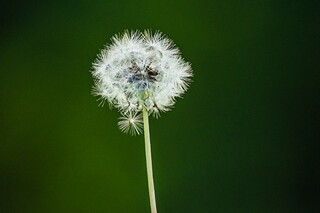 圣诞节微信的文案_圣诞微信配文