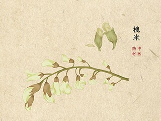 端午节的习俗作文800字_端午节的风俗作文800