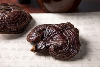 社会奉献的诗歌朗诵稿_奉献社会演讲