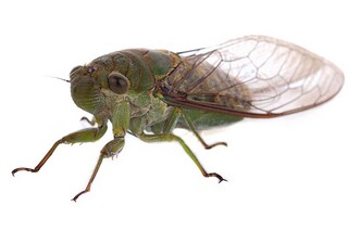 心灵的选择作文（心灵的选择作文高中）