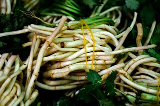 五岁儿童生日祝福语（五岁儿童生日祝福语孙子五岁生日祝福语）