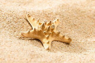 告别2025迎接2025的唯美说说_2020告别迎接2025说说