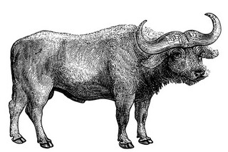 给朋友的小满祝福语摘录