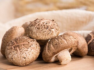 生活不易但要坚强的说说_形容即使生活不易但仍然坚强的诗句