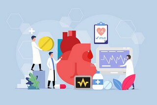 《爱吹嘘的猫》阅读答案（《爱吹嘘的猫》阅读答案图片）