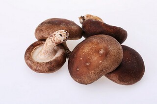 公务员辞职报告（公务员辞职报告怎么写 普通员工）