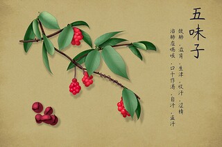 经典语录摘录_经典语录摘抄短句