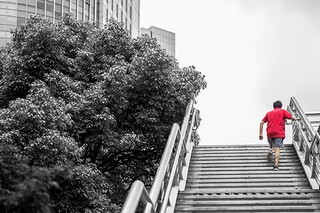 学期科目教学计划_各学科教学计划表格