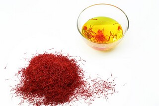 新式兔年简短祝福语（兔年新年祝福语）