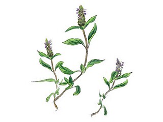 经典心情不好的签名80条_经典心情不好的签名80条怎么写