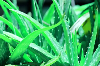 跨年朋友圈的文案（跨年朋友圈的文案短句）