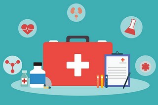 放飞梦想 放飞希望作文800字_放飞梦想为题的作文