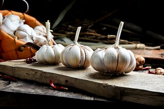 小学体育老师工作计划（小学体育教师年度工作计划）