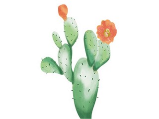 《朱自清散文集》读后感（《朱自清散文集》读后感600字）