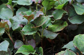 形容天冷的文案_形容天冷的短句
