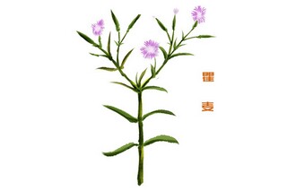 形容有号召力的诗词句子（比较有号召力的句子）