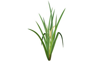 劳动节朋友圈唯美句子_劳动节发朋友圈怎么说