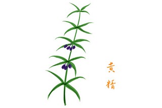 中秋节祝福佳句_中秋节祝福语优美句子