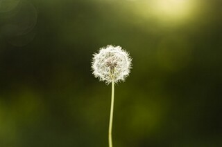 夏日游记作文_夏日游记200字作文大全