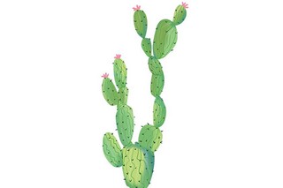 2025二月再见,三月你好朋友圈文案_2月再见,三月你好的说说