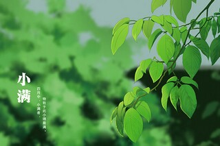 温暖的亲情作文_关于亲情的作文500字左右