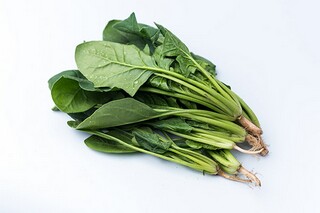 酒店母亲节活动策划参考_酒店母亲节活动文案