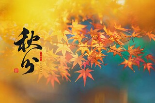 壮丽的近义词_壮丽的近义词美丽对吗