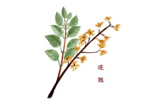 故乡断章作文（故乡断章作文600字）