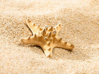 2025观看开学第一课理想照亮未来个人心得_观开学第一课理想照亮未来有感