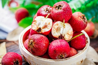 回忆鲁迅先生的阅读（回忆鲁迅先生阅读题主要内容）