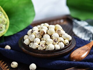 对习的理解和感悟作文