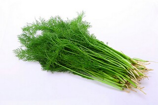 常用伤感个性句子摘录35条_伤感的个性说说心情短语