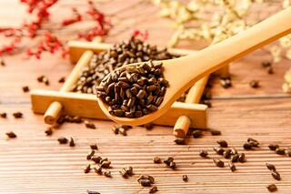 《河间有游僧》阅读答案及原文翻译（河间有游僧原文及解释）