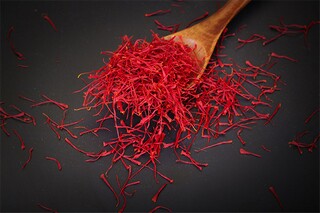 节俭的国旗下讲话稿（节俭的国旗下演讲400）