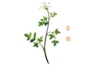 端午作文（我最喜欢的是端午节作文）