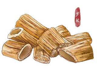 清明节的相关诗句（清明节相关的诗词）