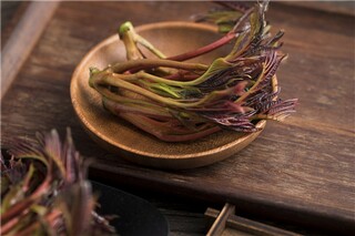 鬼怕恶人文言文_鬼怕恶人文言文及注解